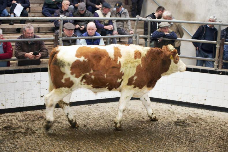 Camera at the Mart: finishers active around Templemore ring Camera at the Mart: finishers active around Templemore ring