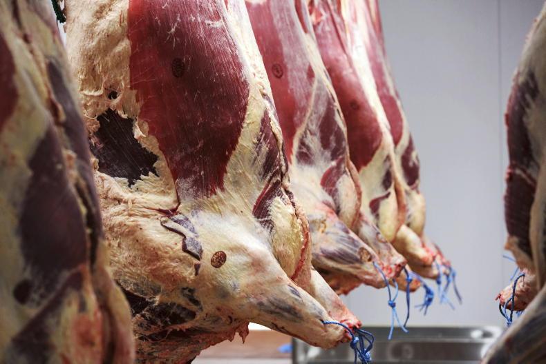 Factories turn the knife with this week’s beef quotes Factories turn the knife with this week’s beef quotes