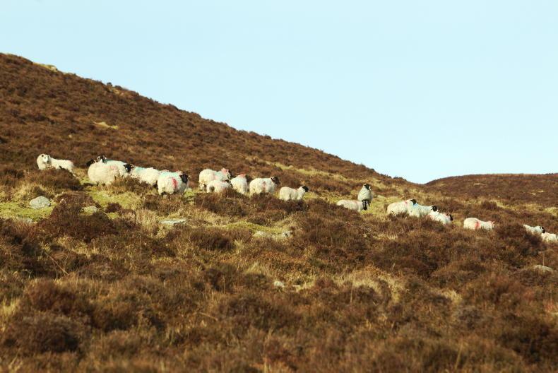 Revealed: plans prioritised for ACRES co-operation entry route Revealed: plans prioritised for ACRES co-operation entry route