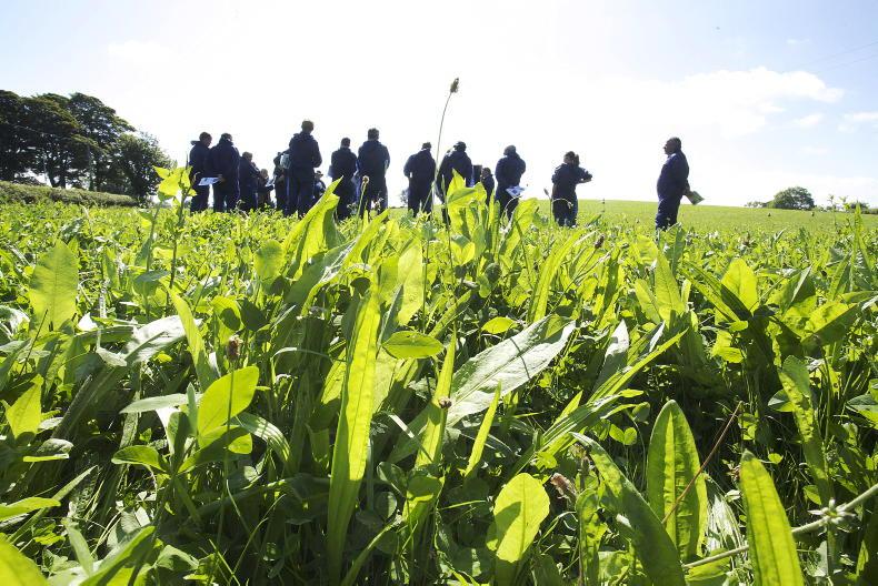 Minister Heydon launches Bioeconomy Ireland Week 2022 Minister Heydon launches Bioeconomy Ireland Week 2022