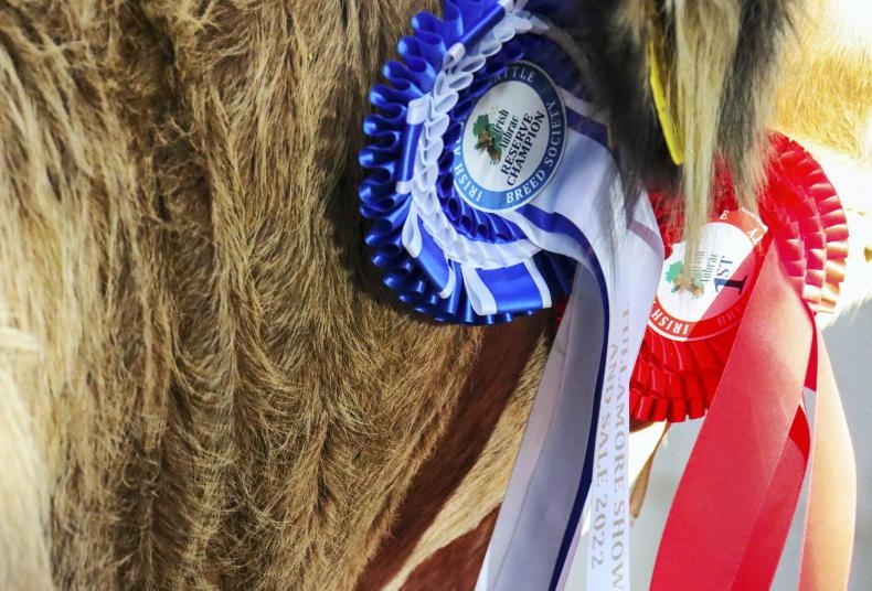 Altamont Pennyhill tops Irish Aubrac Premier show and sale at €4,150 Altamont Pennyhill tops Irish Aubrac Premier show and sale at €4,150