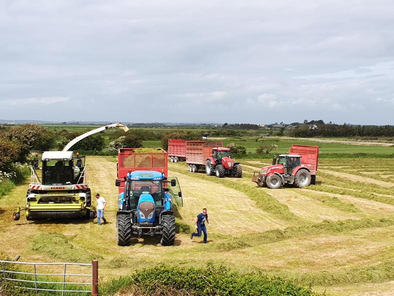 2% of farmers fail inspections for Fodder Support Scheme 2% of farmers fail inspections for Fodder Support Scheme