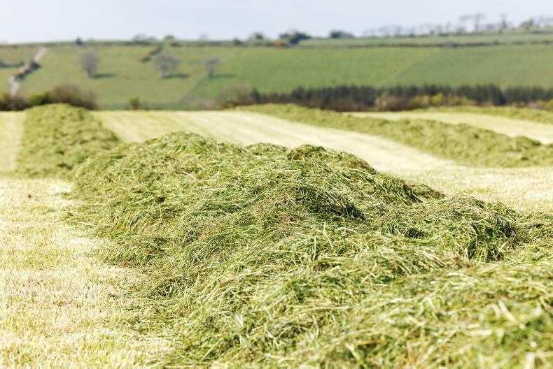 Advance fodder scheme payments to be paid in December Advance fodder scheme payments to be paid in December