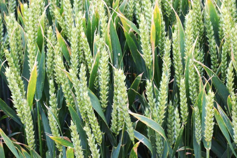 Time to take aim at a 15t target Time to take aim at a 15t target