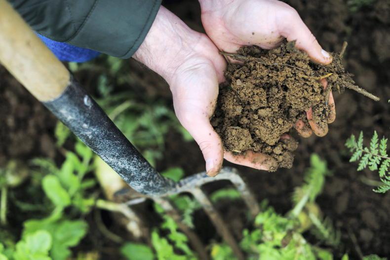 Cover crop plantings double at Cooney Furlong Cover crop plantings double at Cooney Furlong
