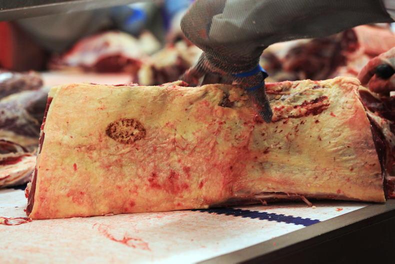 Beef Trends: appetite growing as numbers tighten Beef Trends: appetite growing as numbers tighten