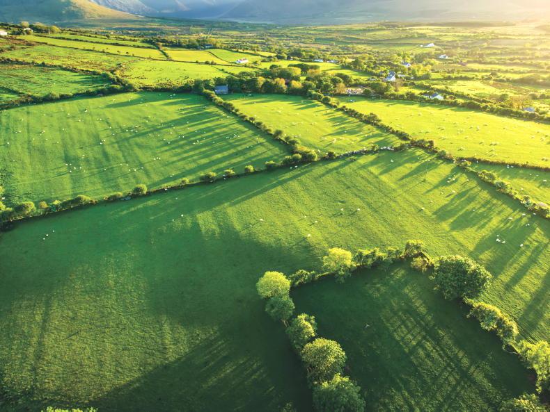 €50,000 grant scheme to refurbish vacant rural homes €50,000 grant scheme to refurbish vacant rural homes