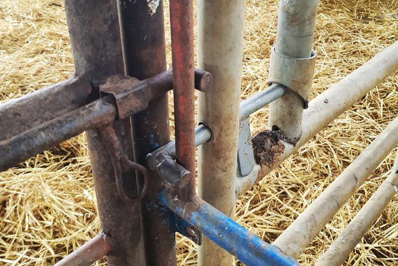 Watch: Twitter farm hacks for the new year’s break Watch: Twitter farm hacks for the new year’s break