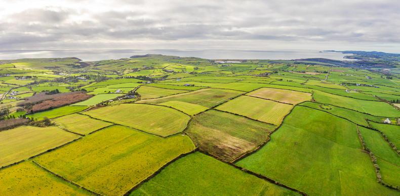 Emmet Doyle fills first full-time organic post at Bord Bia Emmet Doyle fills first full-time organic post at Bord Bia