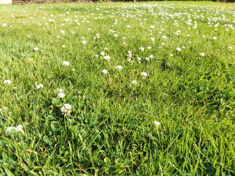 Establishing an emissions baseline on farms to work to reduce those emissions Establishing an emissions baseline on farms to work to reduce those emissions