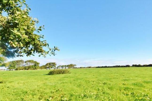 90ac with some forestry for sale in Co Kerry 90ac with some forestry for sale in Co Kerry