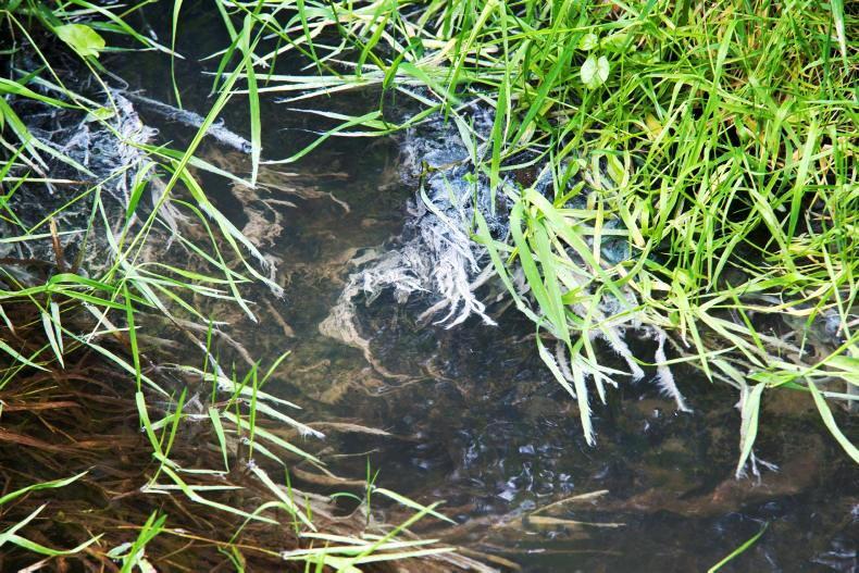 Sweeping water quality inspections for Laois farmers Sweeping water quality inspections for Laois farmers
