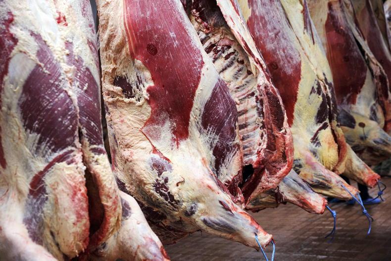 Heifers cross €5/kg base price barrier Heifers cross €5/kg base price barrier