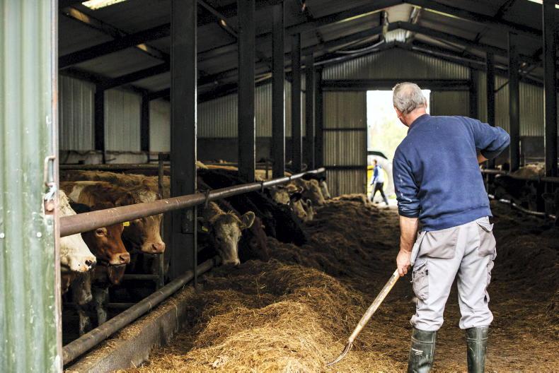 Agricultural ‘surplus’ up 30 to €4,826m in 2022 CSO Free