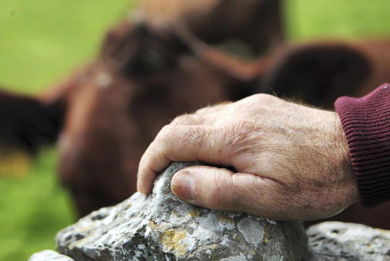 46,000 farmers apply to ACRES scheme