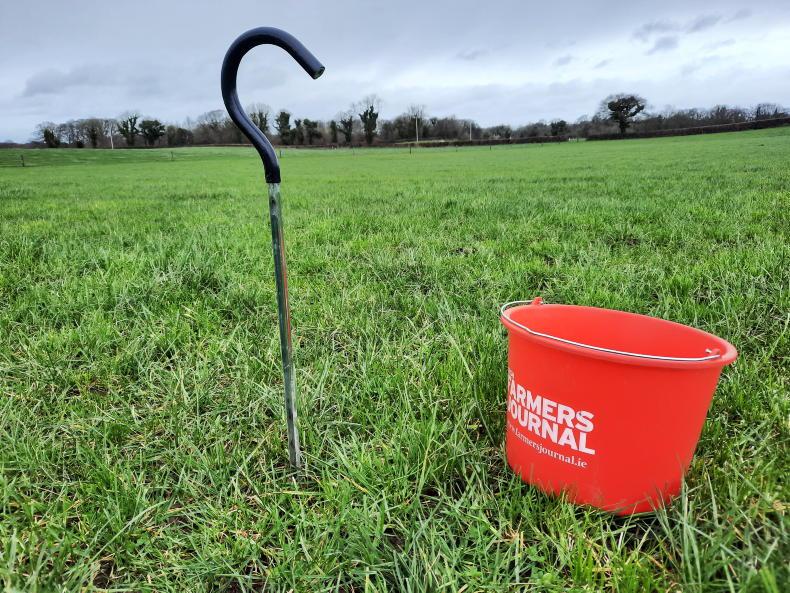 Snow and frost bring the season to an end Snow and frost bring the season to an end