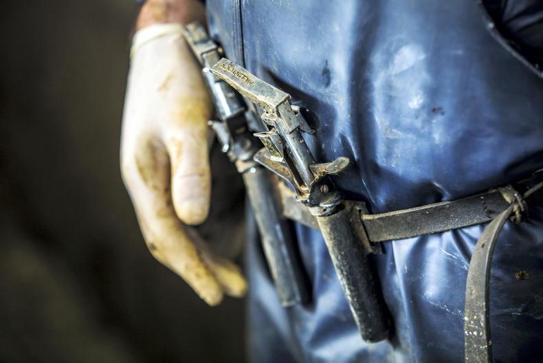 Almost €25m in TB compensation payments issued to farmers Almost €25m in TB compensation payments issued to farmers