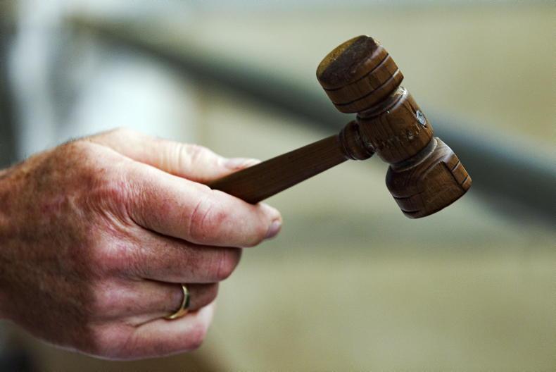 MartBids analysis: what was the 2022 trade like? MartBids analysis: what was the 2022 trade like?