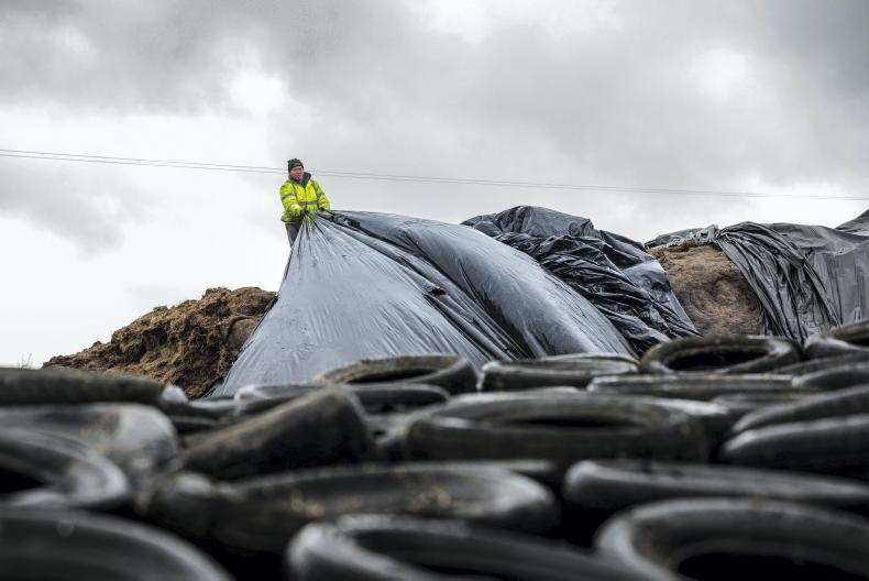 Farmers openly admit to burning and burial of plastic - study Farmers openly admit to burning and burial of plastic - study