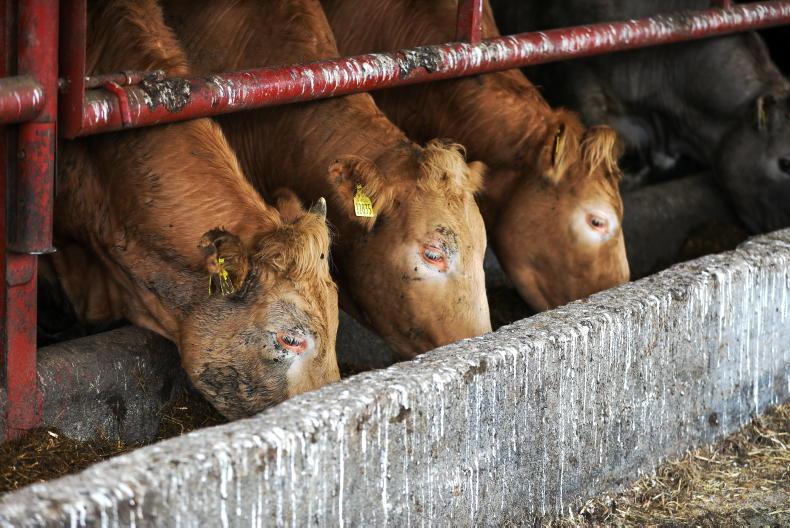 Beef Management: Outwintered cattle, CAP seminar and survey responses Beef Management: Outwintered cattle, CAP seminar and survey responses