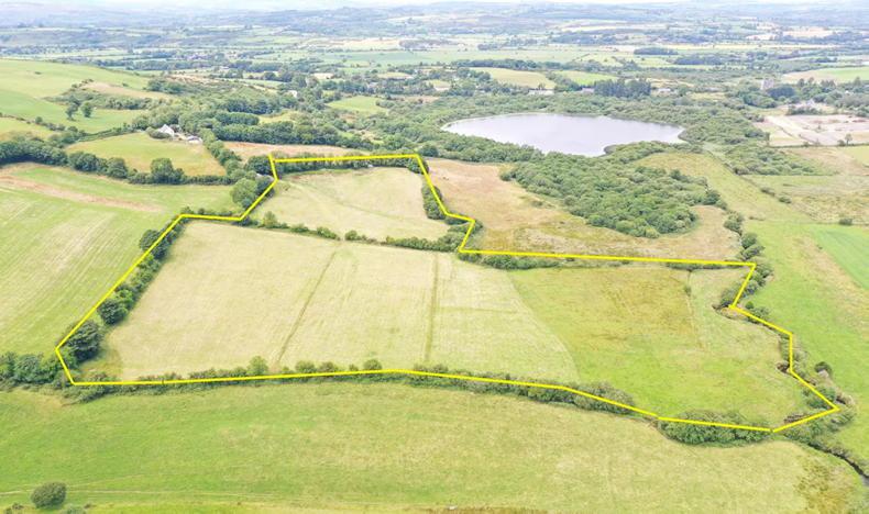 Successful sale of west Cork small holding Successful sale of west Cork small holding