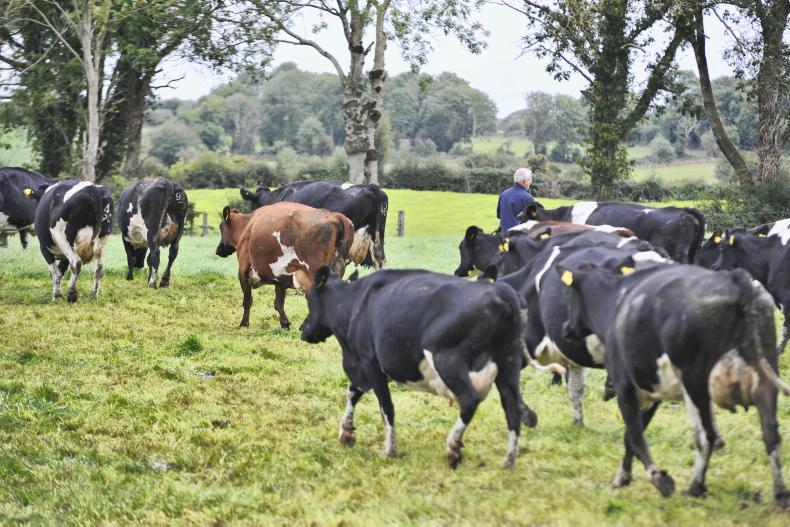 Ageing farming population has 'potential impact' on innovation adoption - Teagasc Ageing farming population has 'potential impact' on innovation adoption - Teagasc