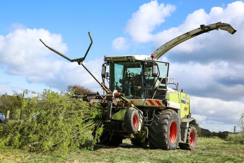 It's time to rethink biomass supply chains It's time to rethink biomass supply chains