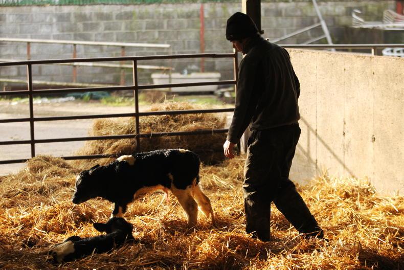 Farmer Writes: taking advantage of good ground conditions Farmer Writes: taking advantage of good ground conditions