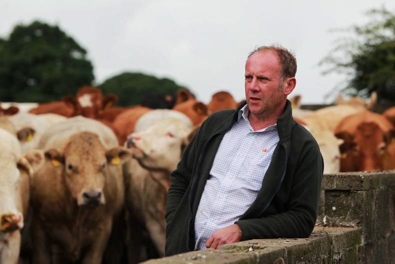 Farmer Writes: fine February carries a health warning Farmer Writes: fine February carries a health warning