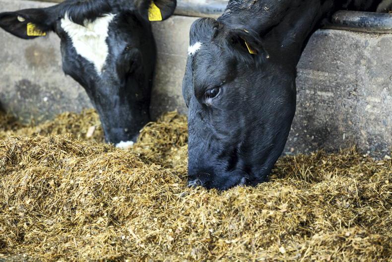 Co-ops slash milk prices and warn more to come Co-ops slash milk prices and warn more to come