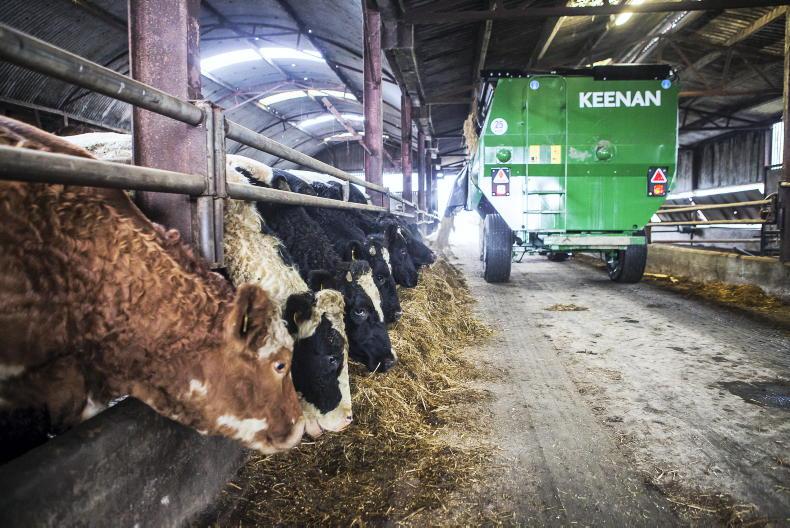 NI Trends: price deals on offer for steady cattle supplies; hogget quotes rise NI Trends: price deals on offer for steady cattle supplies; hogget quotes rise