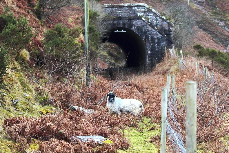 Feedback sought on Ennis-Ennistymon stretch of west Clare greenway Feedback sought on Ennis-Ennistymon stretch of west Clare greenway