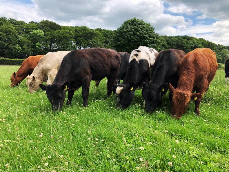 Beef Management: fertiliser purchases and budget before you buy Beef Management: fertiliser purchases and budget before you buy