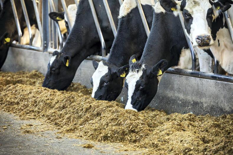 New nitrates banding option for dairy farmers New nitrates banding option for dairy farmers