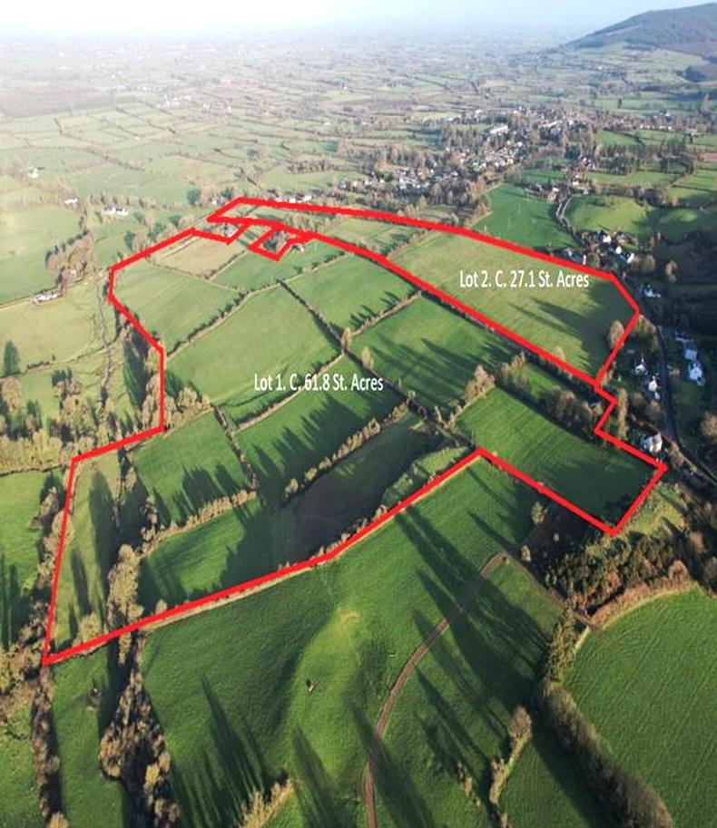 Golden Vale farm sells for €1.395m Golden Vale farm sells for €1.395m
