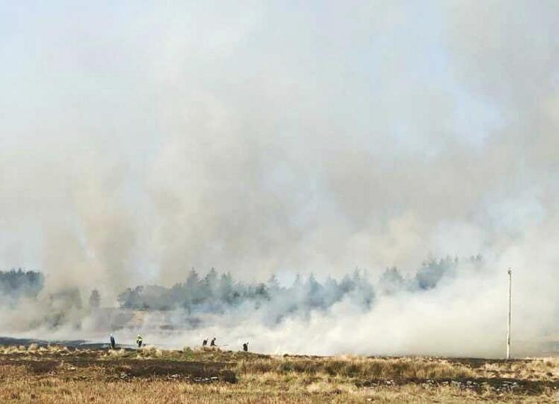 Minister warns of potential imprisonment for illegal burning of land Minister warns of potential imprisonment for illegal burning of land