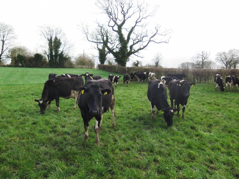 Dairy management: preparing for a change in weather Dairy management: preparing for a change in weather