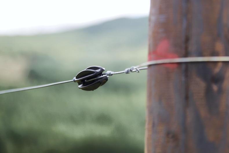 ‘Nonsensical’ to ban creosote posts with no alternatives - Carthy ‘Nonsensical’ to ban creosote posts with no alternatives - Carthy
