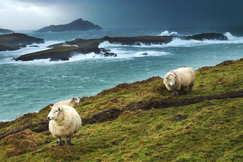 Life on the edge: how Ireland profits from peripheral status Life on the edge: how Ireland profits from peripheral status