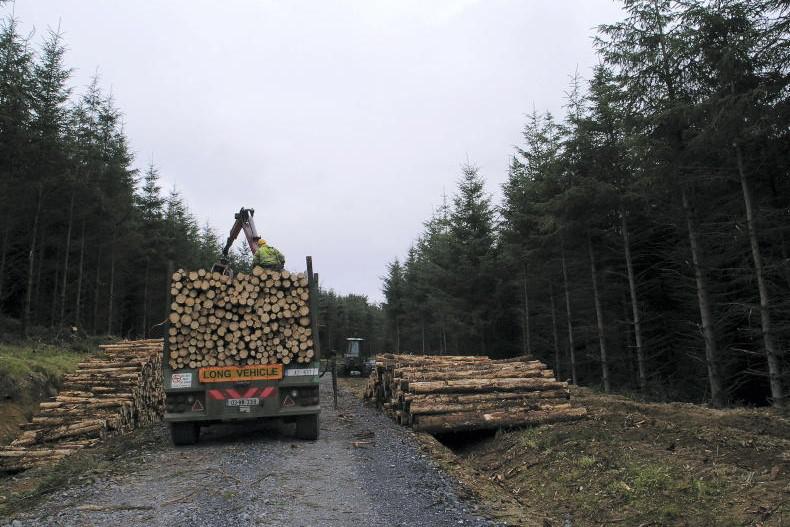 'Efficient licensing' needed to meet demands of increased forestry activity 'Efficient licensing' needed to meet demands of increased forestry activity