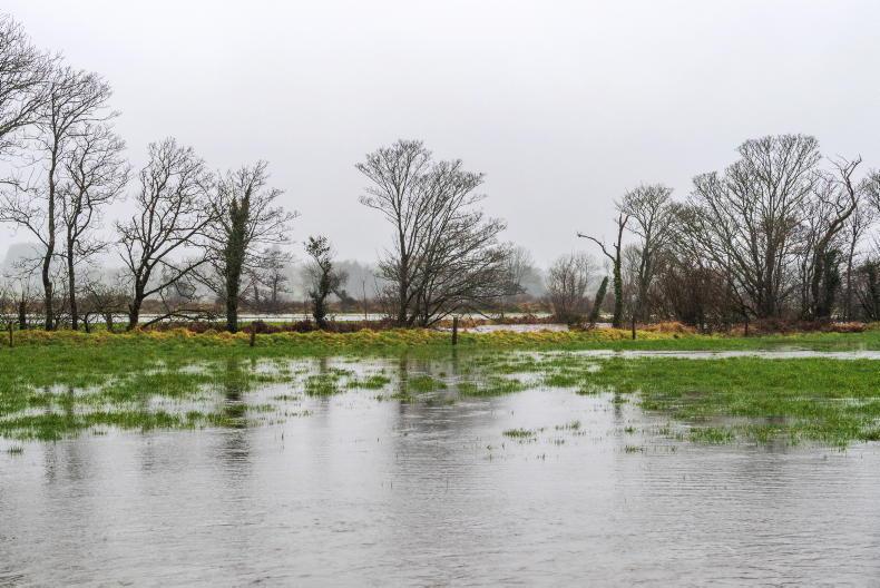 Weather hits proteins and drives feed sales Weather hits proteins and drives feed sales