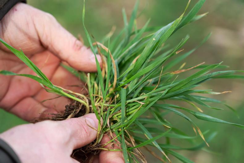 What’s in your 2023 Crop Protection magazine? What’s in your 2023 Crop Protection magazine?