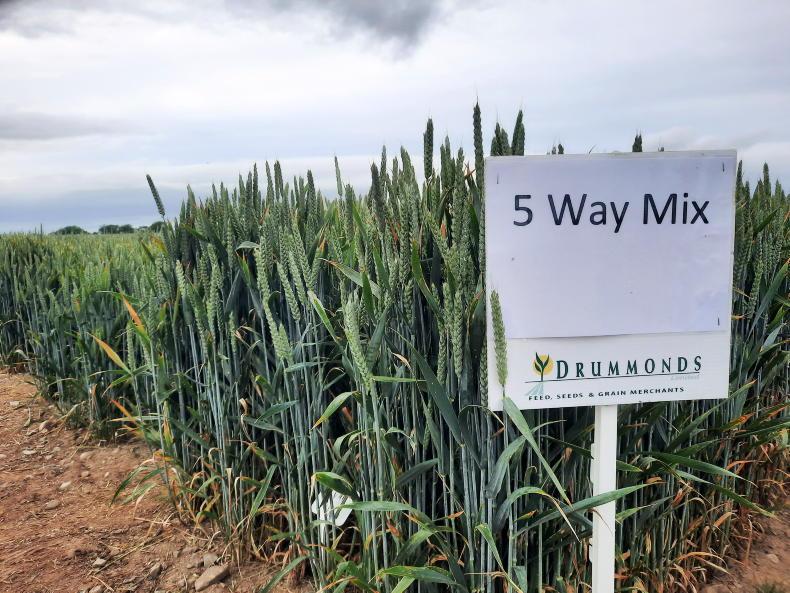 What’s in your 2023 Crop Protection magazine? What’s in your 2023 Crop Protection magazine?