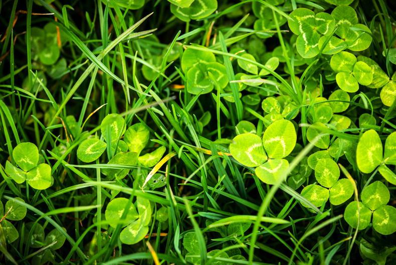 Dairy Management: grazing, breeding and clover Dairy Management: grazing, breeding and clover