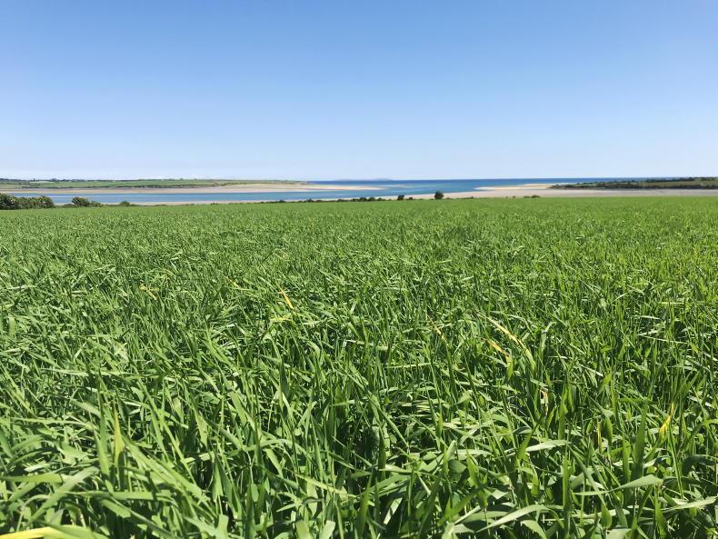 Boortmalt tried to impose surcharge after making millions Boortmalt tried to impose surcharge after making millions
