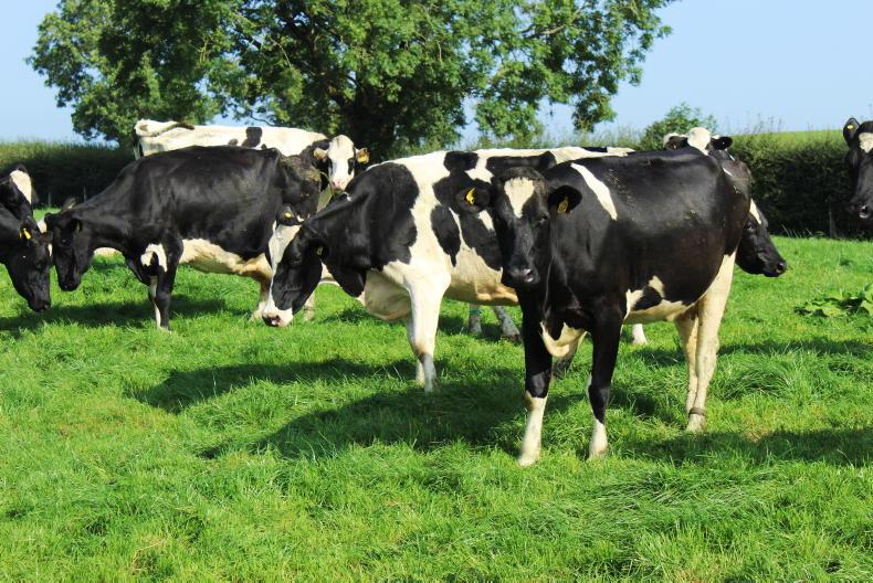 Critical time for managing grass has arrived Critical time for managing grass has arrived