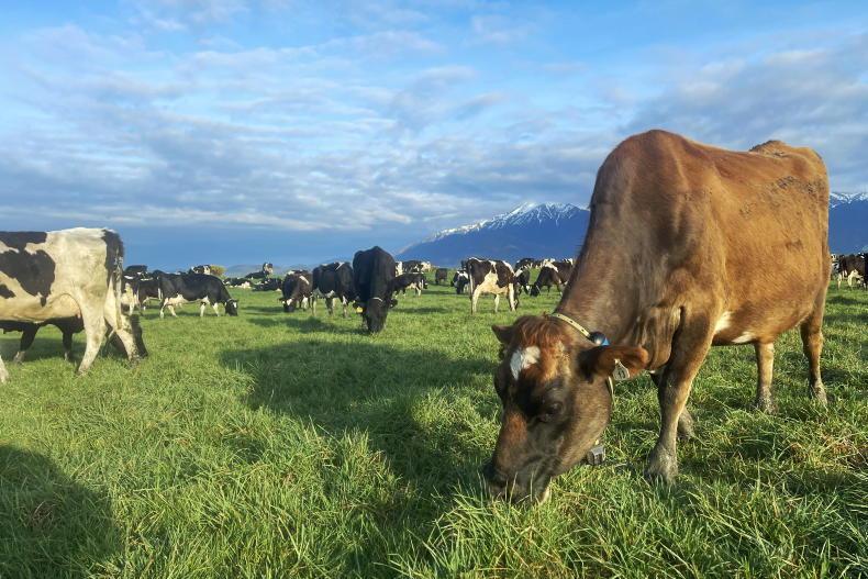 Picture of The Grass Week: growth creeping towards matching demand