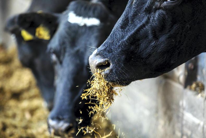 Teagasc warns of tight fodder supplies Teagasc warns of tight fodder supplies