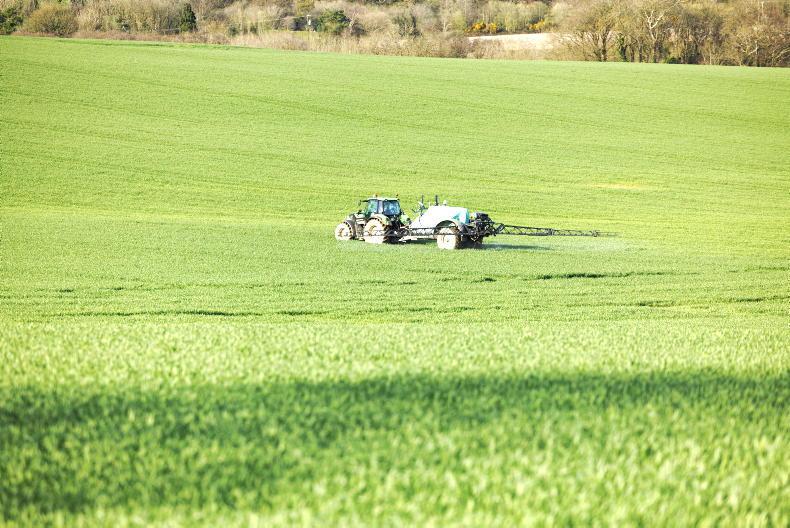 Accompany the agronomist: backward winter crops improving Accompany the agronomist: backward winter crops improving