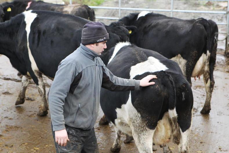 Farmer Writes: spring arrives at last Farmer Writes: spring arrives at last